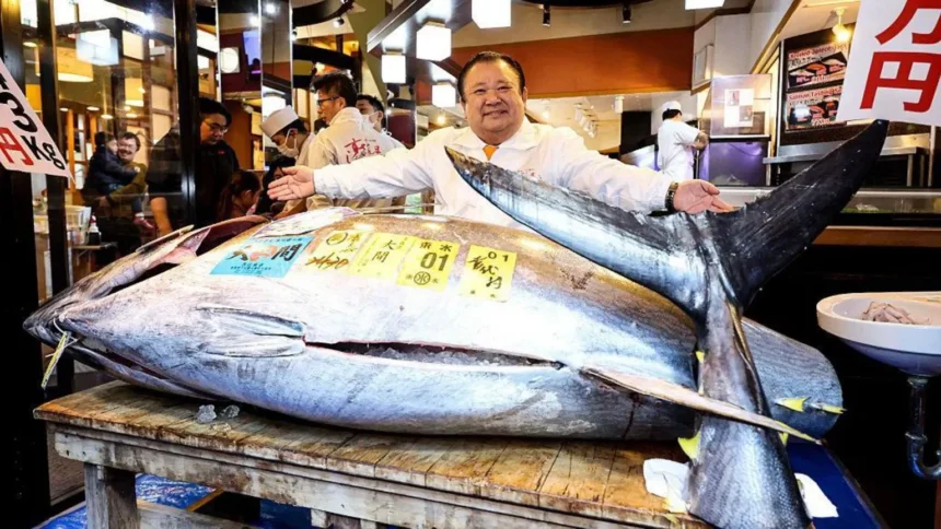 Gokil! Pengusaha Jepang Beli Tuna Sirip Biru Rp54 Miliar, Termahal Sepanjang Sejarah