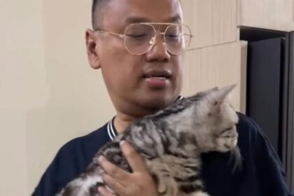 Uya Kuya Berikan Maaf, Penjarah Kucingnya Divonis 6 Bulan Penjara