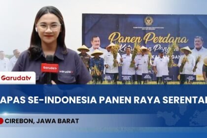 Serentak se-Indonesia! Menimipas Panen Raya di Cirebon, Lapas Siap Pasok Pangan Rakyat