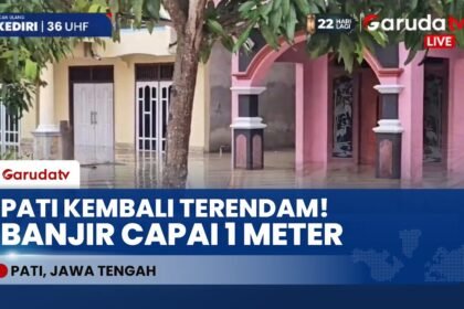 PATI SIAGA! Banjir Kembali Meninggi, 57 Desa Terendam & Ratusan Warga Kembali ke Pengungsian!