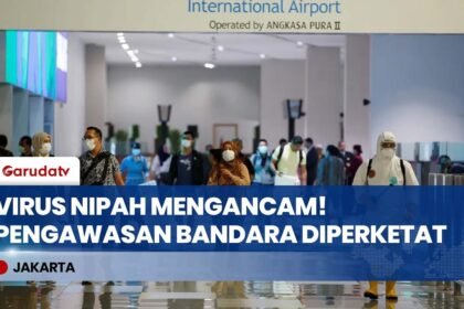 WASPADA VIRUS NIPAH! Bandara Soetta Pasang Thermal Scanner, Penumpang dari Luar Negeri Diperketat!