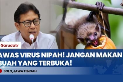 ALARM BAHAYA! Menkes Budi Gunadi Ingatkan Virus Nipah: Jangan Makan Buah Bekas Gigitan!