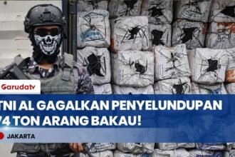 TNI AL Sikat Penyelundupan 74 Ton Arang Bakau di Tanjung Priok, Negara Rugi Miliaran Rupiah!