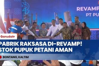 MODAL 990 MILIAR! Pabrik Pupuk Kaltim Resmi Di-Revamp, Indonesia Siap Swasembada Pangan 2026!