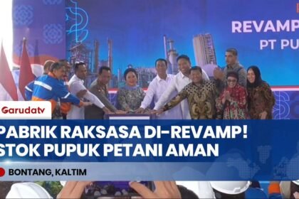 MODAL 990 MILIAR! Pabrik Pupuk Kaltim Resmi Di-Revamp, Indonesia Siap Swasembada Pangan 2026!
