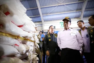 Mentan Amran Murka, 1.000 Ton Beras Ilegal Disita di Kepri : Ini Pengkhianatan Bangsa