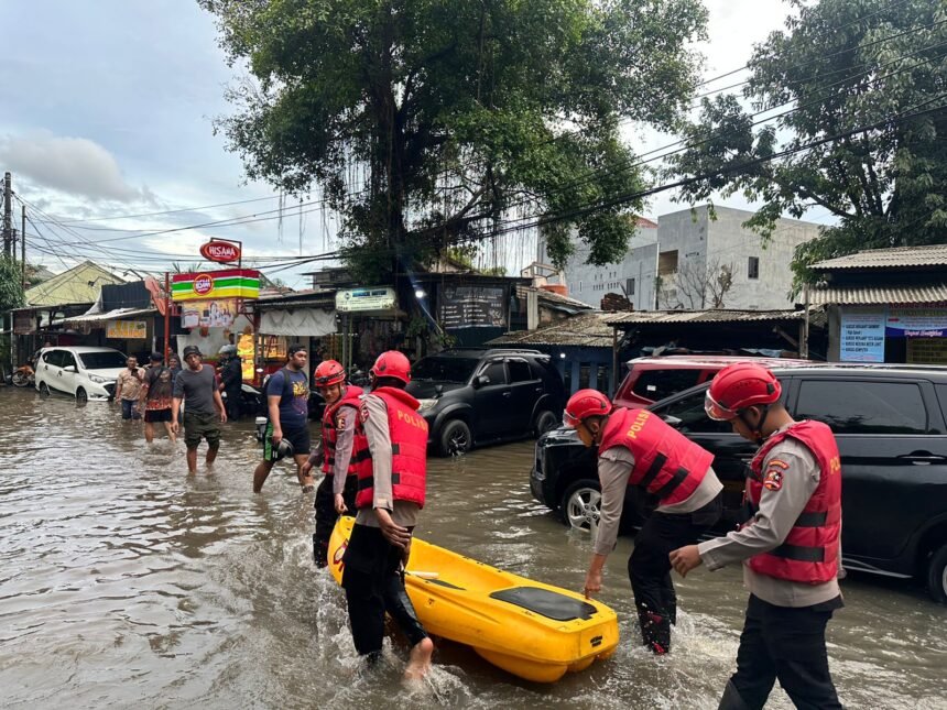 Detasemen Perintis