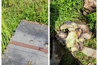 Enam serpihan diduga berasal dari pesawat ATR ditemukan pendaki di lereng Gunung Bulusaraung, Pangkep, Sulawesi Selatan, memunculkan babak baru pencarian pesawat yang hilang kontak.