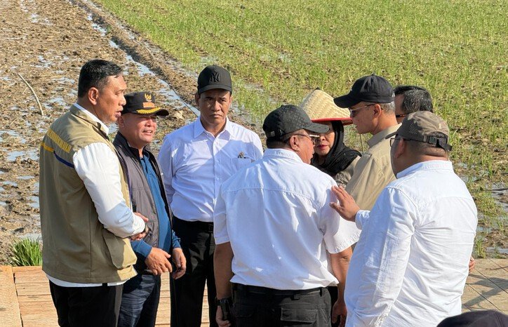 Distribusi pangan BULOG dan BAPANAS di wilayah terdampak bencana dinilai berhasil menekan IPH dan menjaga stabilitas harga.
