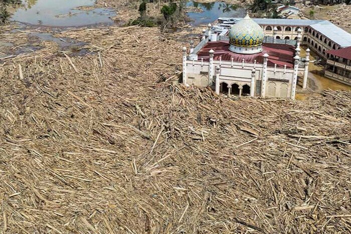Tim Bareskrim Polri melakukan identifikasi kayu dan sedimentasi di Pondok Pesantren Darul Mukhlisin, Aceh Tamiang, pasca banjir bandang.