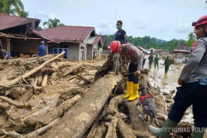 Bareskrim Polri mempercepat penetapan tersangka kasus pembalakan liar yang diduga memicu bencana banjir di Tapanuli Selatan.