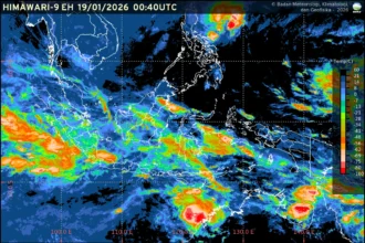 Prakiraan cuaca ibu kota provinsi se-Indonesia Senin 19 Januari 2026 menunjukkan variasi kondisi dari berawan hingga hujan disertai petir.