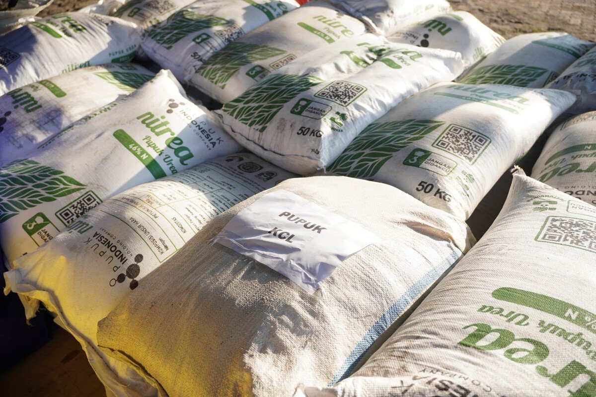Pupuk Indonesia Dukung Rehabilitasi Lahan Pertanian Terdampak Banjir Sumatra 2 Pupuk Indonesia Dukung Rehabilitasi Lahan Pertanian Terdampak Banjir Sumatra