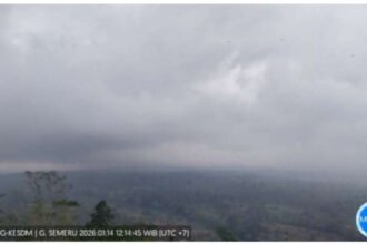 Aktivitas vulkanik Gunung Semeru meningkat dengan puluhan gempa letusan terekam dalam waktu singkat.