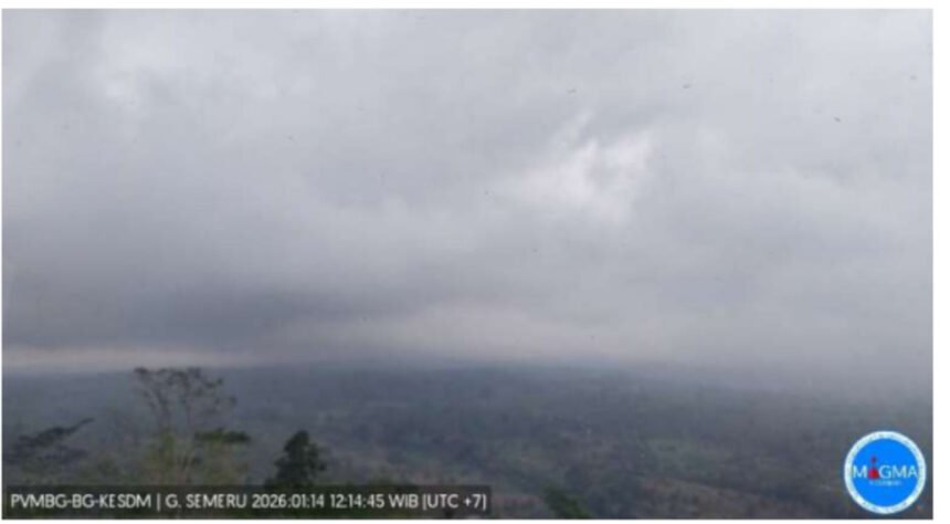Aktivitas vulkanik Gunung Semeru meningkat dengan puluhan gempa letusan terekam dalam waktu singkat.
