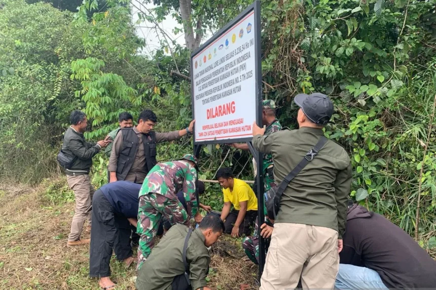 Satgas PKH Rebut Kembali 4,09 Juta Hektare Sawit Ilegal, 900 Hektare Dipulihkan Jadi Hutan Konservasi