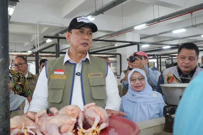Dirut BULOG Sidak Tiga Pasar di Semarang, Pastikan Harga dan Pasokan Pangan Aman 4 Dirut BULOG Sidak Tiga Pasar di Semarang, Pastikan Harga dan Pasokan Pangan Aman