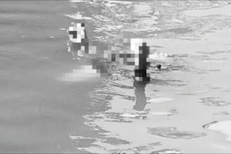 Geger! Mayat Misterius Mengapung di Kali Ciliwung Jagakarsa