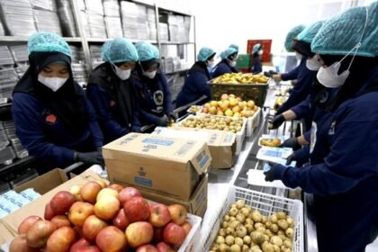 Viral SPPG Ketahuan Mark Up Harga dan Beri MBG Kualitas Jelek, BGN Janji Suspend Mitra Nakal