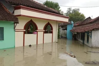 Perkembangan Situasi dan Penanganan Bencana di Tanah Air 19 Februari 2026