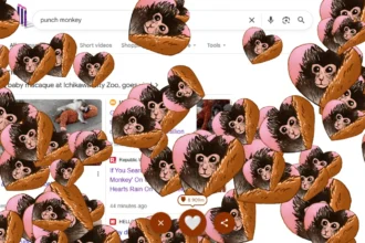 Google Rayakan Cinta Untuk Bayi Monyet Punch dengan Hujan Hati