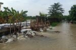 Tanggul Sungai Citarum Jebol Lagi di Muara Gembong, Dua Desa Bekasi Terendam Banjir Akibat Debit Air Tinggi