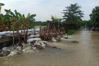 Tanggul Sungai Citarum Jebol Lagi di Muara Gembong, Dua Desa Bekasi Terendam Banjir Akibat Debit Air Tinggi