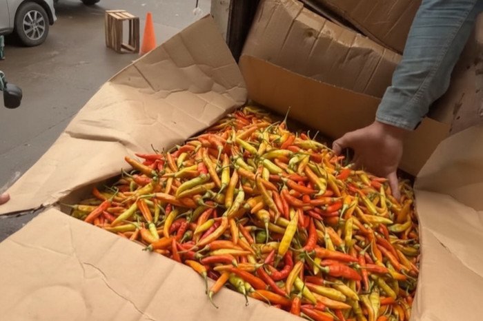 Bapanas kirim 10,9 ton cabai rawit ke PIKJ untuk tekan harga, pedagang optimistis turun ke Rp50.000 per kg.
