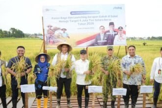 Panen Raya di Maros menjadi penanda dimulainya akselerasi serapan gabah BULOG menuju target 4 juta ton setara beras nasional 2026.