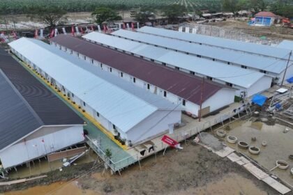 BNPB Targetkan Pengungsi Bencana di Sumatera Tempati Huntara sebelum Ramadan