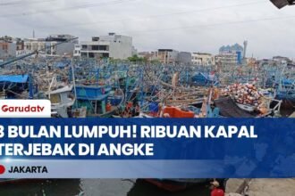 Muara Angke Lumpuh! Ribuan Kapal Tertahan 3 Bulan, Pemilik Rugi Ratusan Juta Akibat Izin Ribet?