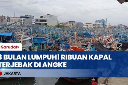 Muara Angke Lumpuh! Ribuan Kapal Tertahan 3 Bulan, Pemilik Rugi Ratusan Juta Akibat Izin Ribet?