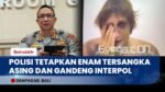 Polisi Buru Enam WNA Penculik Warga Ukraina dan Red Notice, Interpol Resmi Diajukan