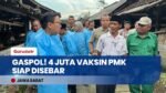 ANTISIPASI WABAH! Kementan Sebar 4 Juta Dosis Vaksin PMK ke 29 Provinsi, Peternak Wajib Tahu!