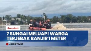 EVAKUASI DRAMATIS! Banjir Jember Rendam 8 Kecamatan, Ribuan Warga Terdampak!