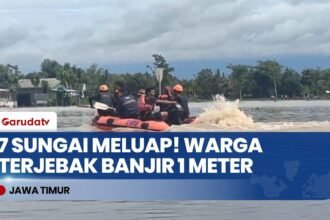EVAKUASI DRAMATIS! Banjir Jember Rendam 8 Kecamatan, Ribuan Warga Terdampak!
