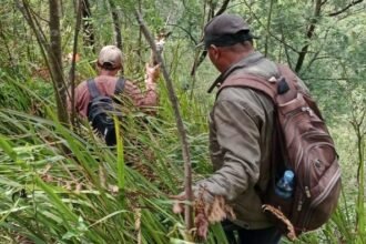 Hilang 24 Hari, Pendaki Yasid Akhirnya Ditemukan Meninggal Dunia