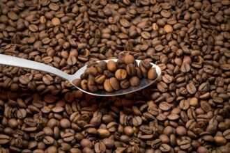 Lima Teknik Pengolahan Kopi yang Menentukan Aroma dan Cita Rasa