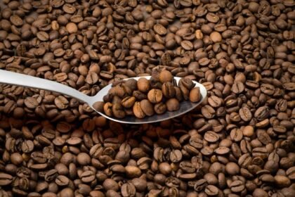 Lima Teknik Pengolahan Kopi yang Menentukan Aroma dan Cita Rasa