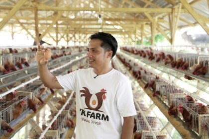 Peternak ayam petelur di Sumba Barat Daya kini mampu memasok 4.000 butir telur per hari untuk mendukung Program Makan Bergizi Gratis (MBG).