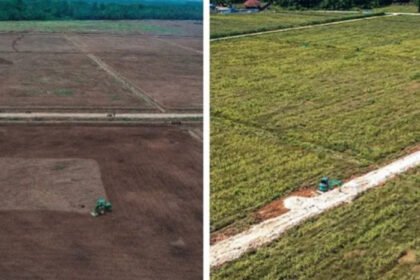 Pembangunan jalan PSN KSPP Wanam terus dipercepat untuk membuka akses lumbung pangan nasional di Papua Selatan.