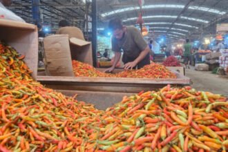 Kementan distribusikan 1,7 ton cabai rawit merah ke Pasar Induk Kramat Jati untuk stabilisasi harga Ramadhan 1447 H.