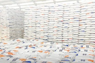 Lonjakan produksi beras nasional mendorong stok Bulog diproyeksi tembus 6 juta ton dalam tiga bulan ke depan.