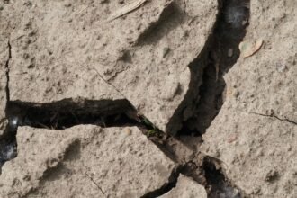 Sabah Diguncang Magnitudo 7,1 Getaran Terasa hingga Kalimantan, BMKG Pastikan Tak Ada Tsunami