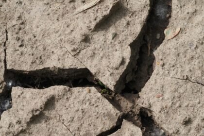 Sabah Diguncang Magnitudo 7,1 Getaran Terasa hingga Kalimantan, BMKG Pastikan Tak Ada Tsunami