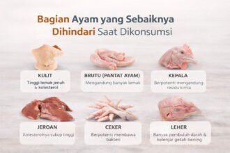 6 Bagian Ayam yang Sebaiknya Dihindari Saat Dikonsumsi