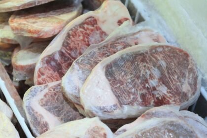 Bareskrim Amankan 9 Ton Daging Beku Impor Kedaluwarsa