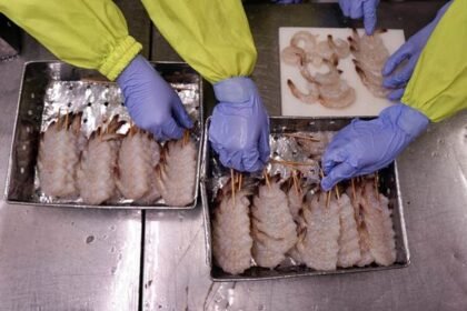 Emiten Pengolahan Udang Afiliasi Kaesang Jual Aset Rp135 Miliar Demi Lunasi Utang BCA