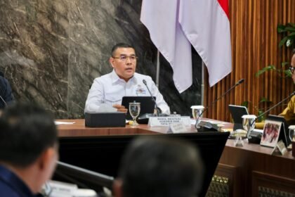 Pemerintah Targetkan Peta Lahan Sawah Dilindungi di 17 Provinsi Rampung Juni 2026