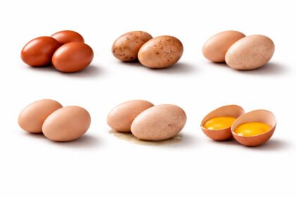 Efek AI Edukasi, Konsumen Kini Lebih Teliti Memilih Telur dari Cangkangnya